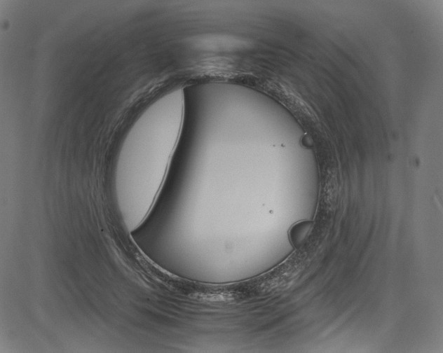 X0000085250639200703090948