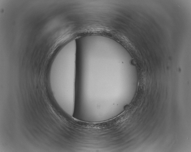 X0000085250640200703090948