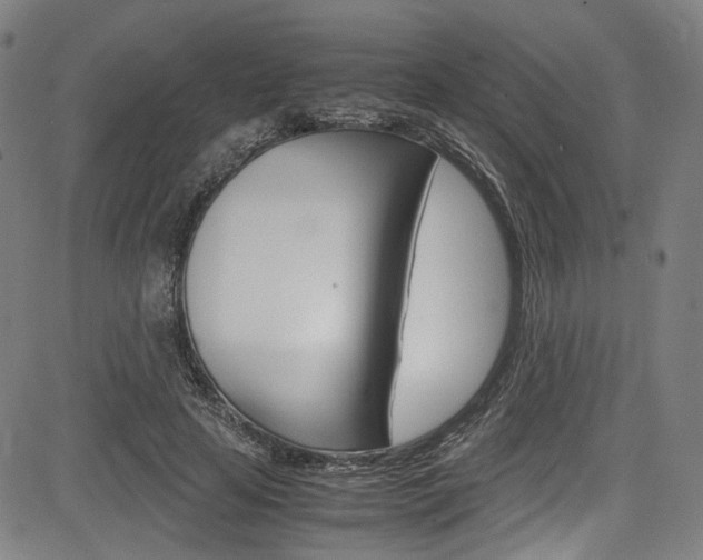 X0000085250641200703090948