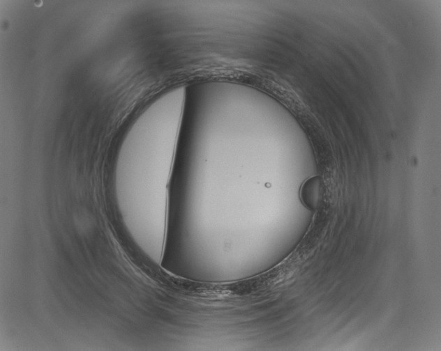 X0000085250642200703090948