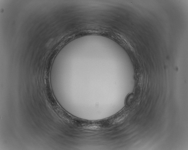 X0000085250643200703090948