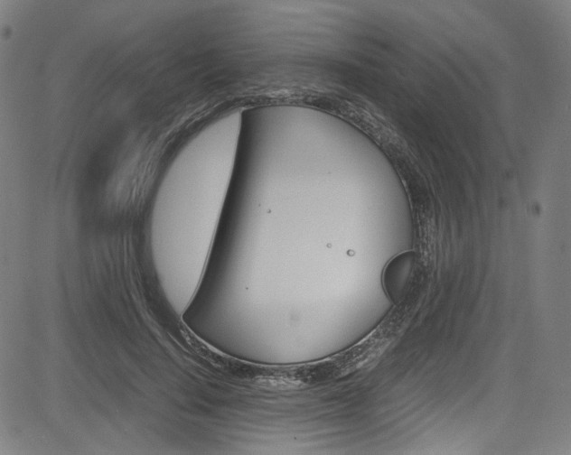 X0000085250644200703090948