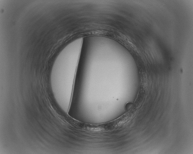 X0000085250645200703090949