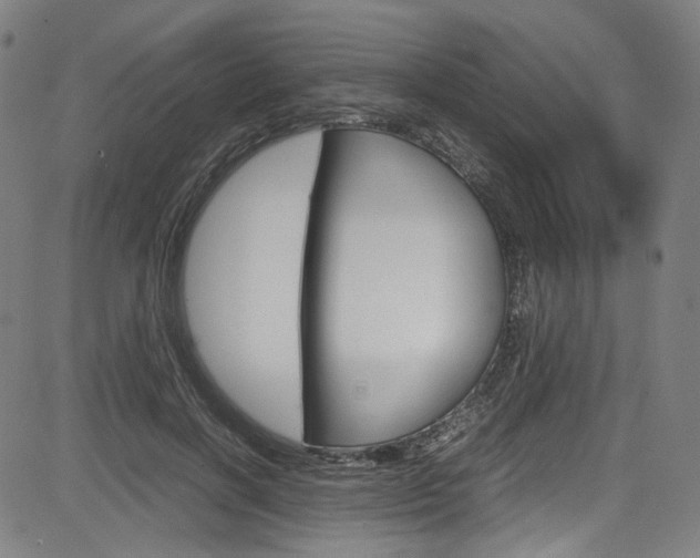 X0000085250646200703090949