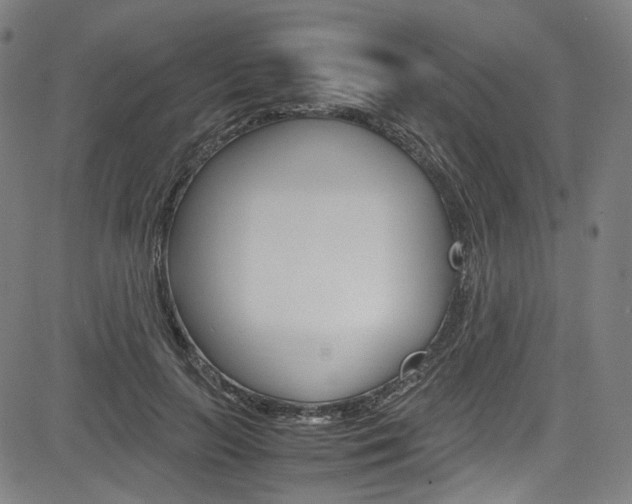 X0000085250647200703090949