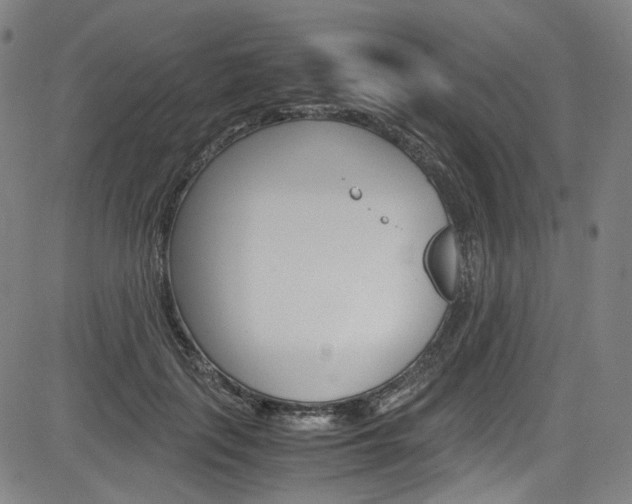 X0000085250651200703090949