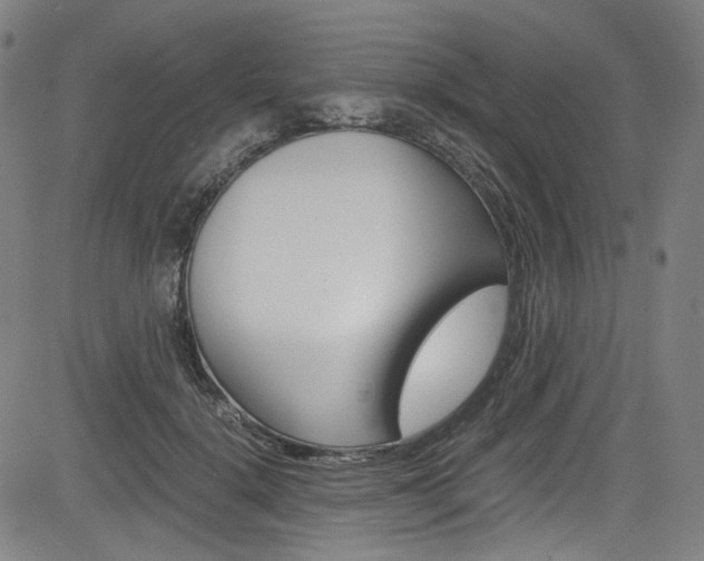 X0000085250652200703090949