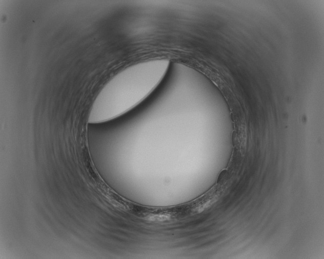 X0000085250653200703090949