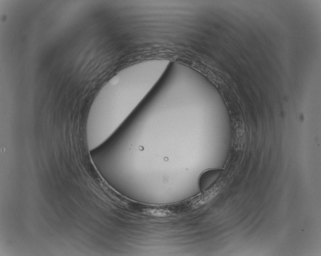 X0000085250654200703090949