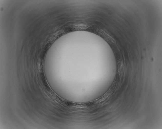 X0000085250655200703090949