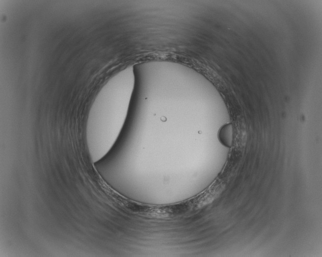 X0000085250656200703090949