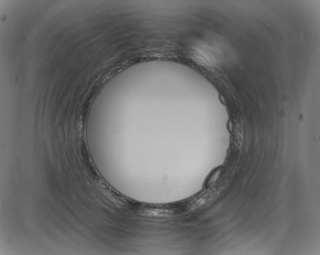 X0000085250657200703090949