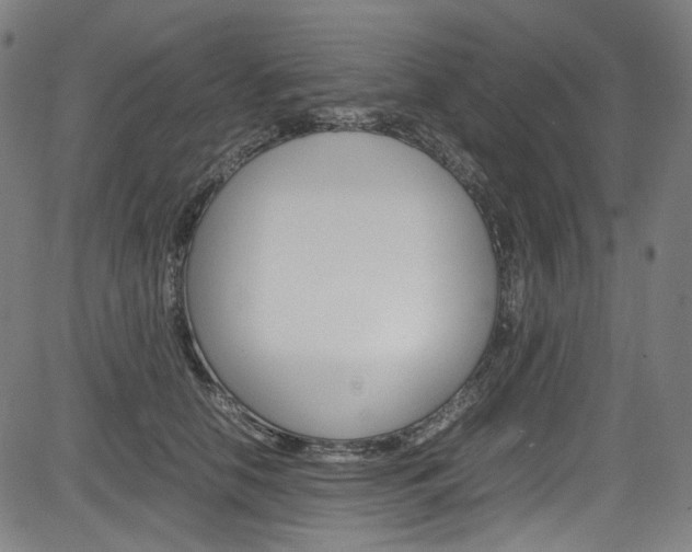 X0000085250658200703090949