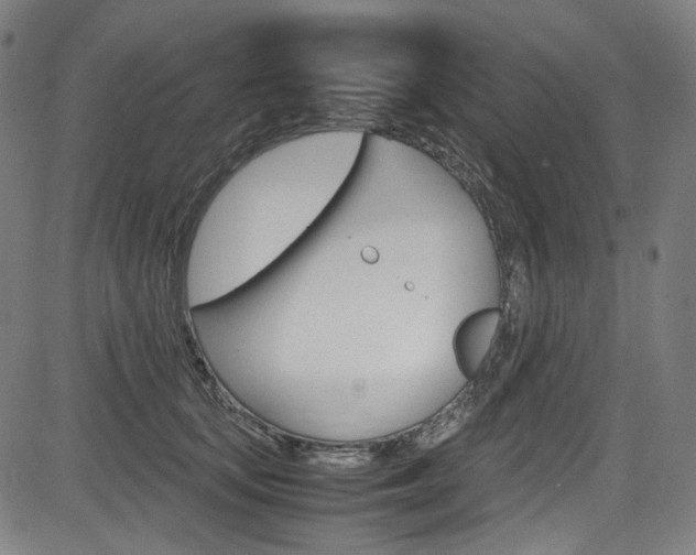 X0000085250659200703090949