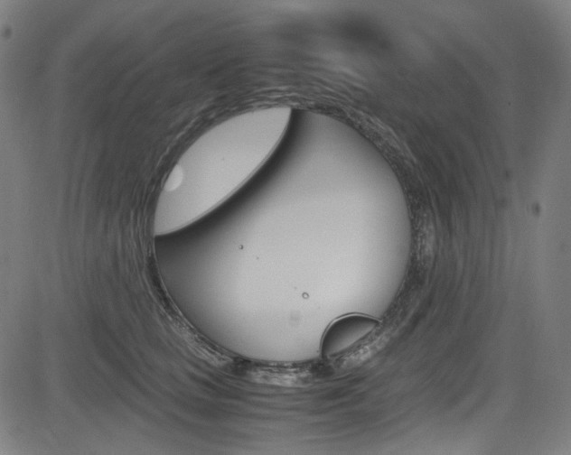 X0000085250661200703090949