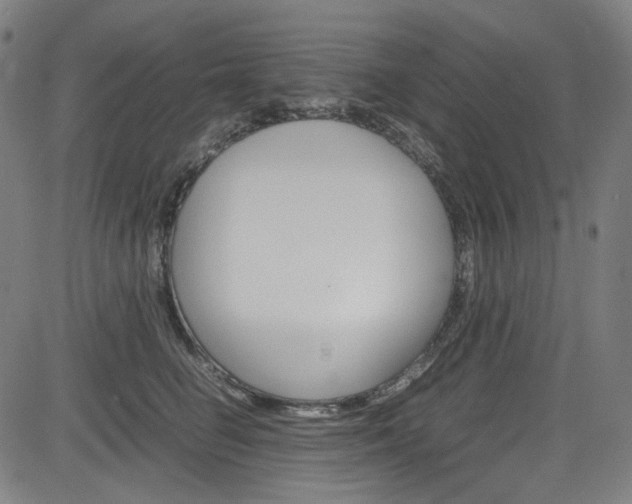 X0000085250662200703090949