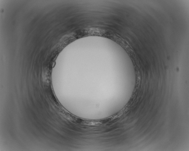 X0000085250663200703090949