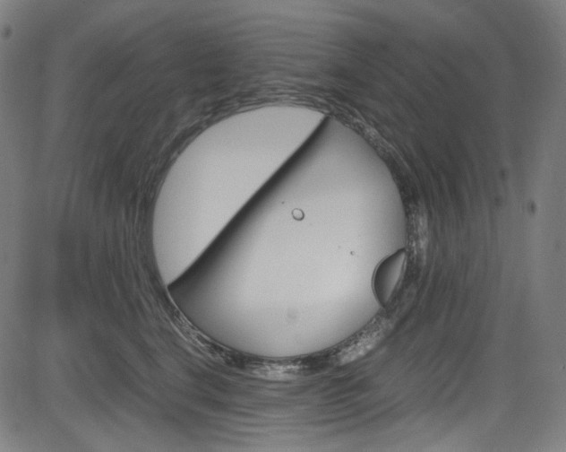 X0000085250664200703090949