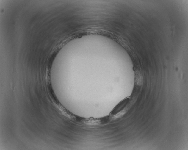 X0000085250670200703090949