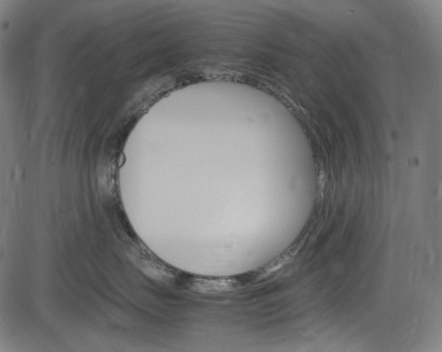 X0000085250671200703090949