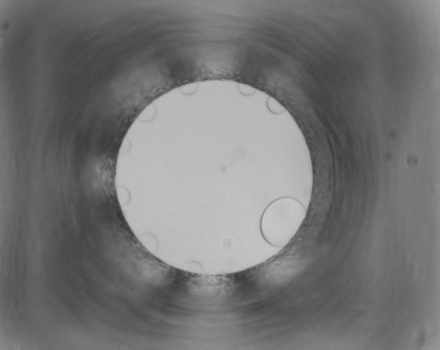 X0000085250672200703090949