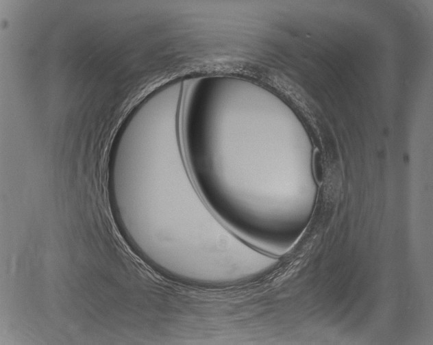 X0000085250673200703090948