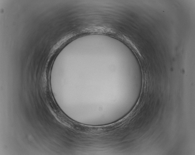 X0000085250674200703090948