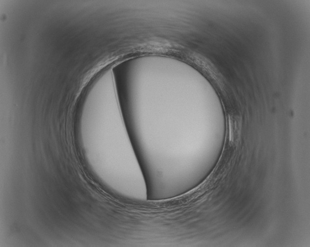 X0000085250675200703090948