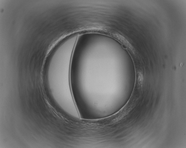 X0000085250676200703090948