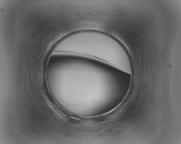 X0000085250677200703090948