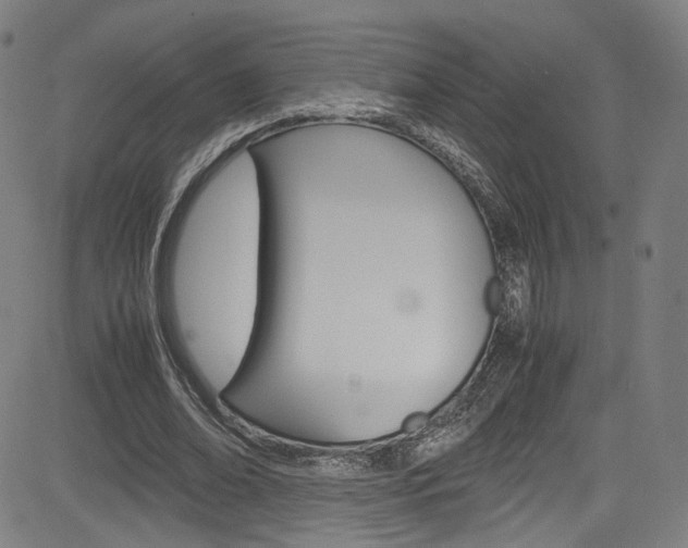 X0000085250678200703090948