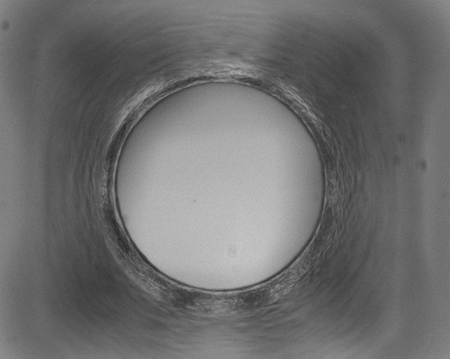 X0000085250679200703090948