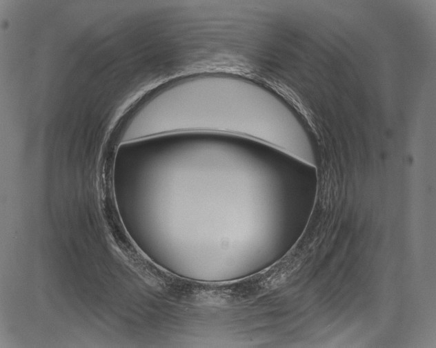 X0000085250680200703090948