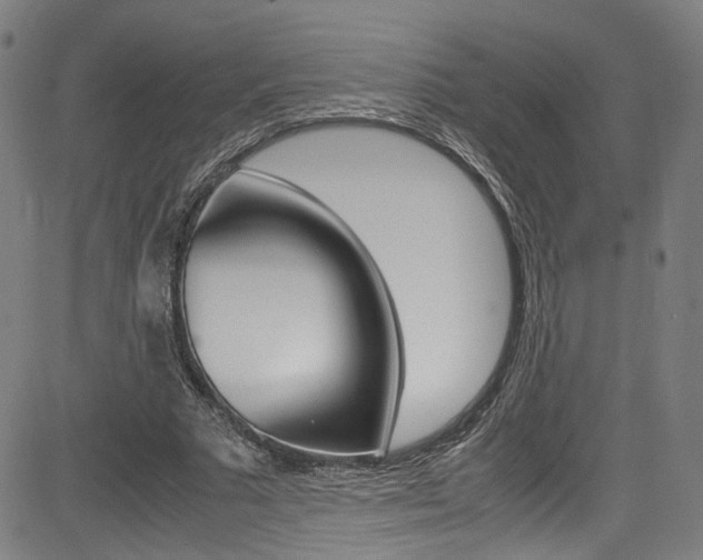 X0000085250681200703090948