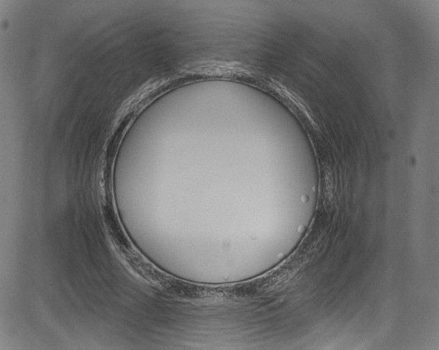 X0000085250682200703090948