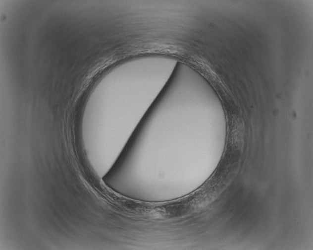 X0000085250683200703090948