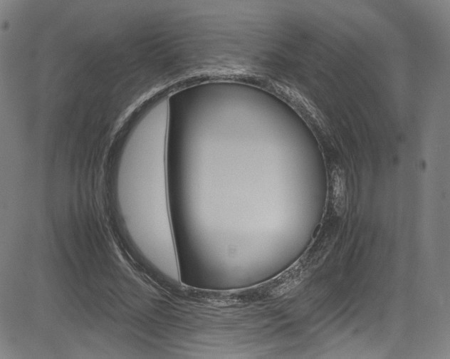 X0000085250684200703090948