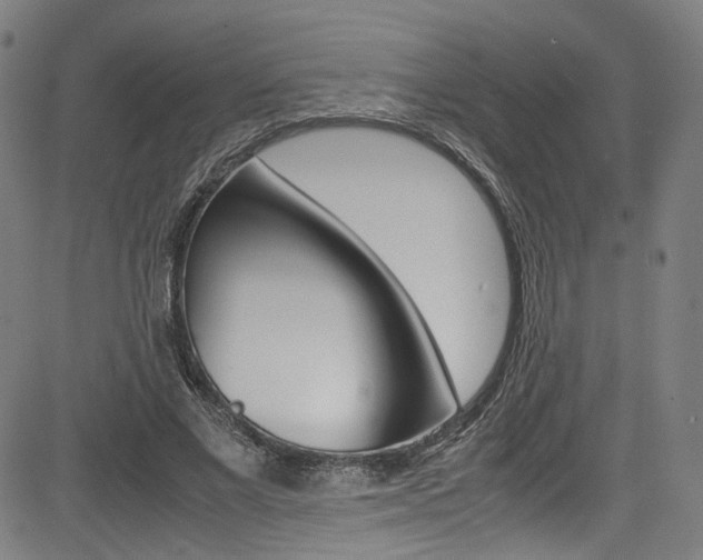 X0000085250685200703090948