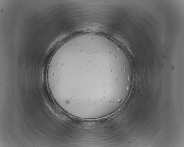 X0000085250686200703090948