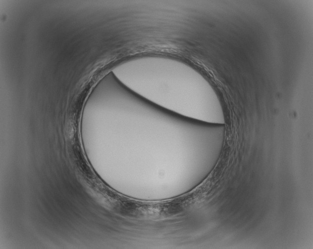 X0000085250687200703090948