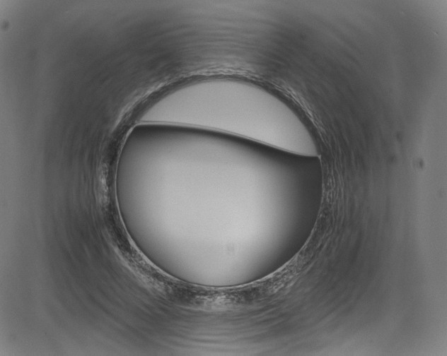 X0000085250688200703090948