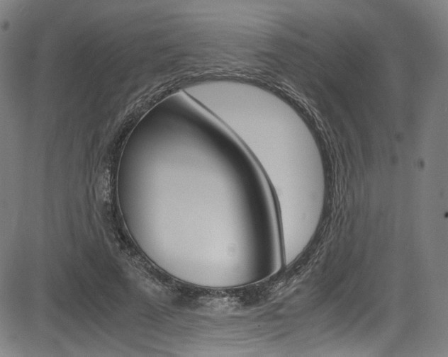 X0000085250689200703090948