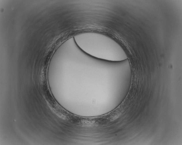 X0000085250690200703090948