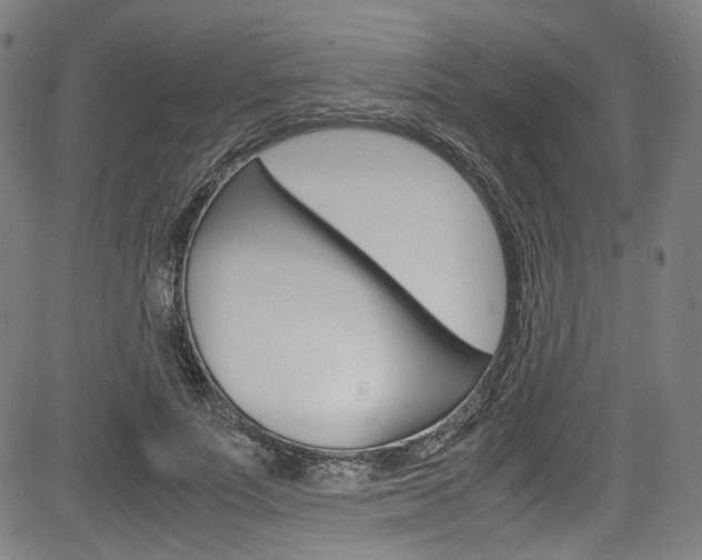 X0000085250691200703090948