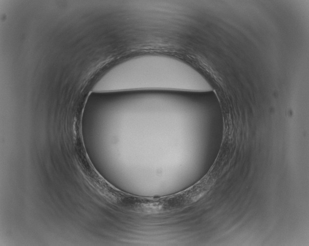 X0000085250692200703090948