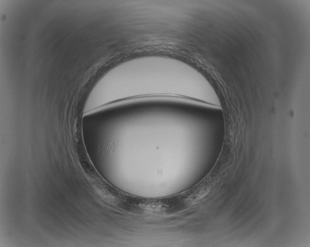 X0000085250693200703090948