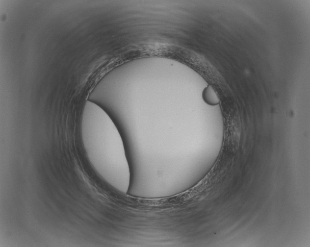 X0000085250694200703090948