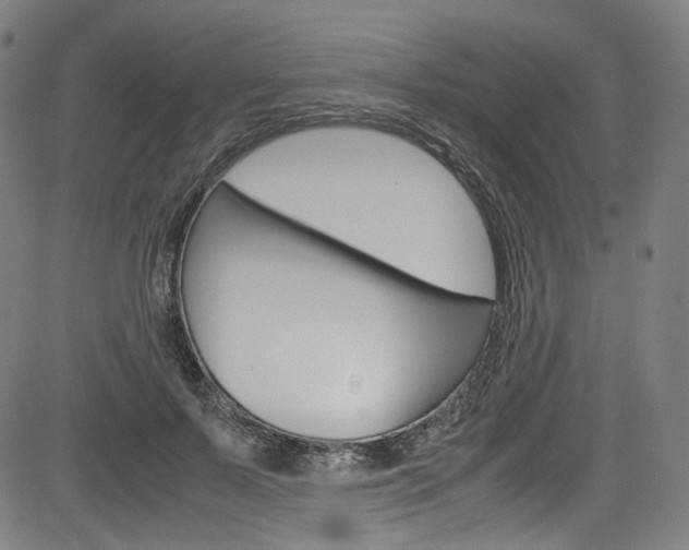 X0000085250695200703090948