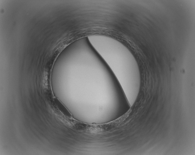 X0000085250696200703090948