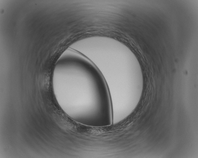 X0000085250697200703090948